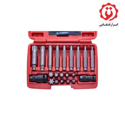 قیمت و خرید ست سر پیچ گوشتی 6 پر 21 عددی داناپلاس - DANAPLUS مدل D274RM از ابزار قشقایی