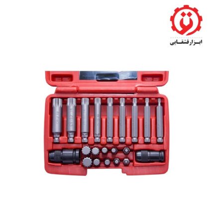 قیمت و خرید ست سر پیچ گوشتی هزار خاری (بیت) 21 عددی داناپلاس -DANAPLUS مدل D3941221 از ابزار قشقایی